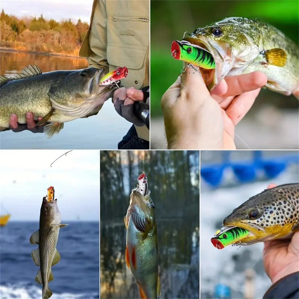 5Pcs Popper Fishing Lures 3d E - đánh giá và giá Fishing Lure Popper
